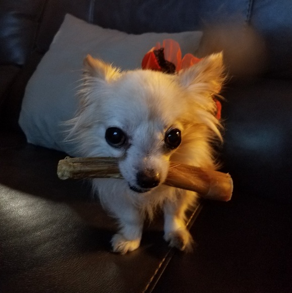 Meet your Posh Ambassador, Brandy - Picture 2 of 8